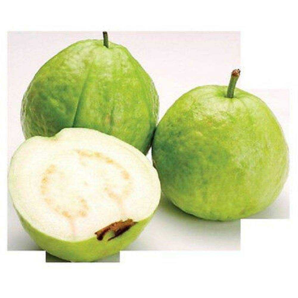 15 Seeds Guava White Tropical Fruit Psidium Guajava Tree Edible Guayaba Plant 
