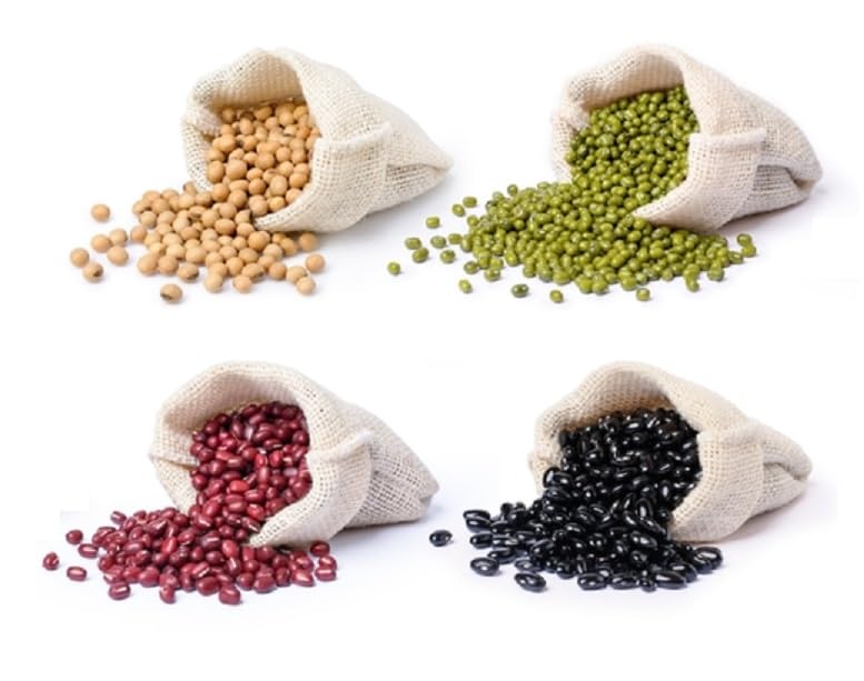 Bean Grower Bundle - 100 Seeds of Each Type - Soybeans, Mung Beans, Adzuki Beans, Black Soybeans