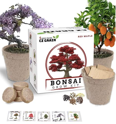 Bonsai Tree Kit - Grow 5 Species of Bonsai Tree w/ Our All-in-One Plant Kit: Bonsai Pots & Peat Pellets Including a Tutorial Video by CZ Grain | Great Gardening Gifts for Women and Men