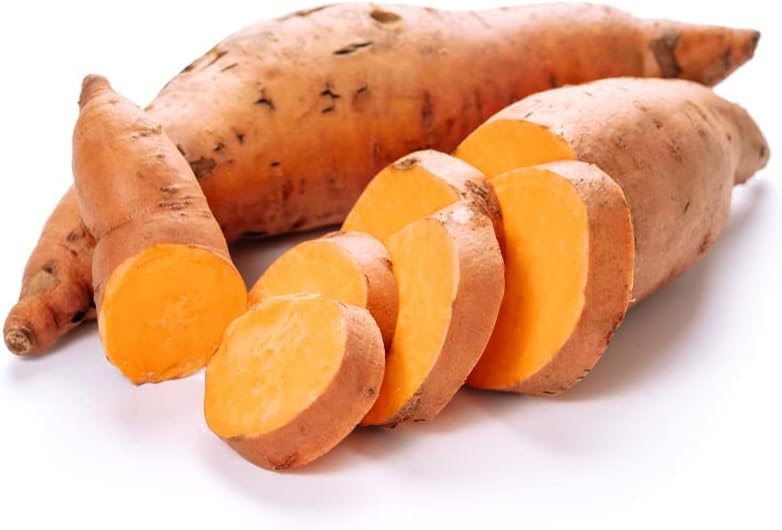 Beauregard Sweet Potato Slips for Planting - Grow Your Own Orange/Red Sweet Potatos