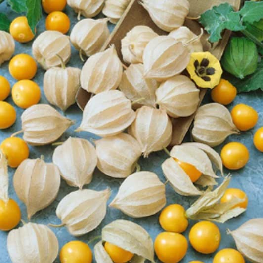 Pineapple Tomatillo Seeds for Planting (50 Seeds) - Easy to Grow Heirloom Annual