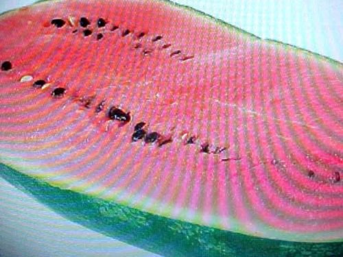 10 Seed Large Black Diamond Red Watermelon