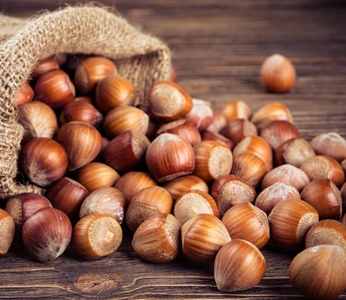 Large Oregon Hazelnuts in Shell