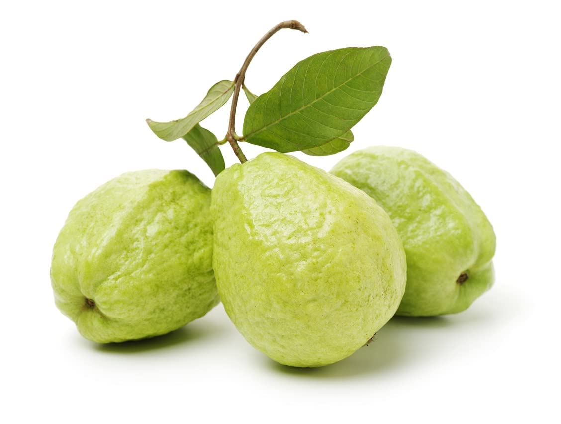 Guava Fruit Tree Seeds for Planting - Exotic and Delicious Tropical Fruit. Great for Live Indoor Bonsai Tree - Fruit Seed for Sewing