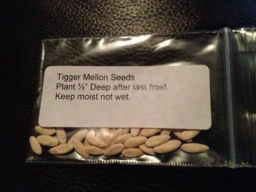 Rare Tigger Melon 30 Seeds - Heirloom - Delicious -Easy--Buy from USA with "Seeds and Things" NOT CHINA with Evening Primrose