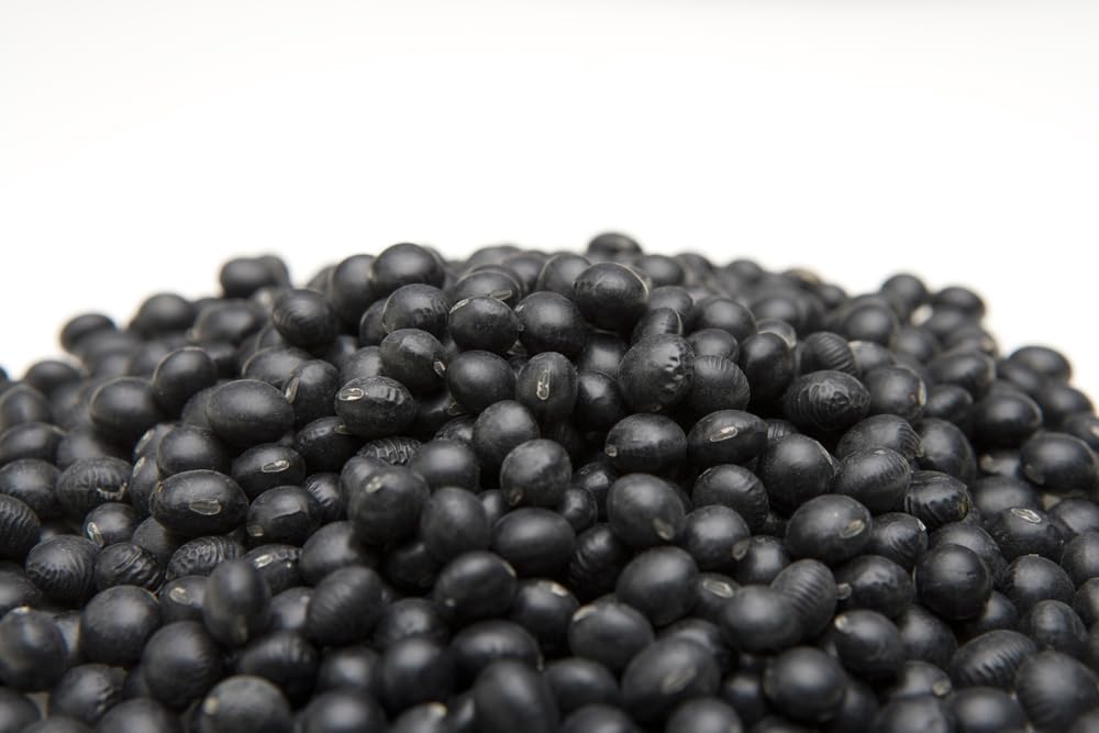 Black Soybean Seeds for Planting - Grown for Sprouts or Full Season