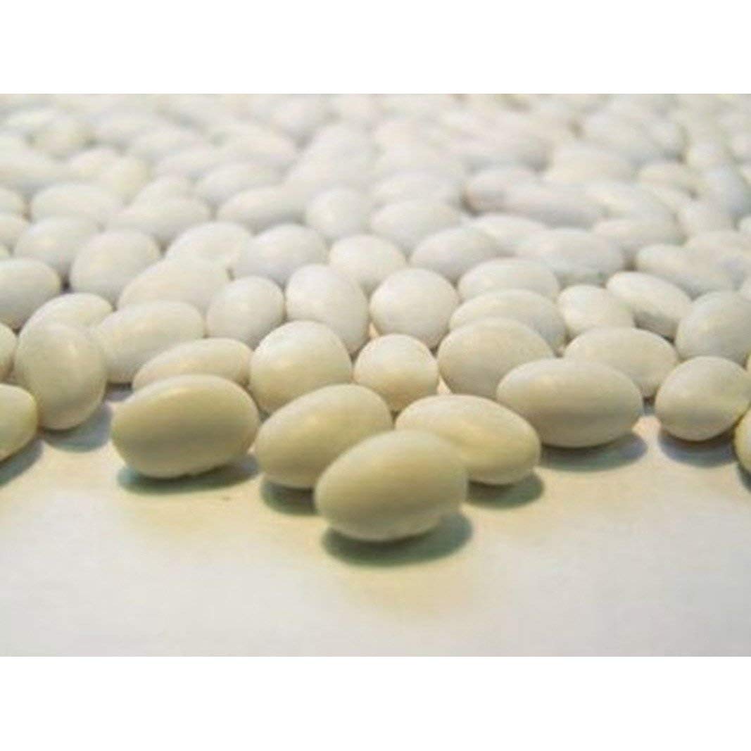 Navy Bush Bean Bean Seeds- Favorite Bean for Boston Baked BeansHam & Bean Soup(25 - Seeds)