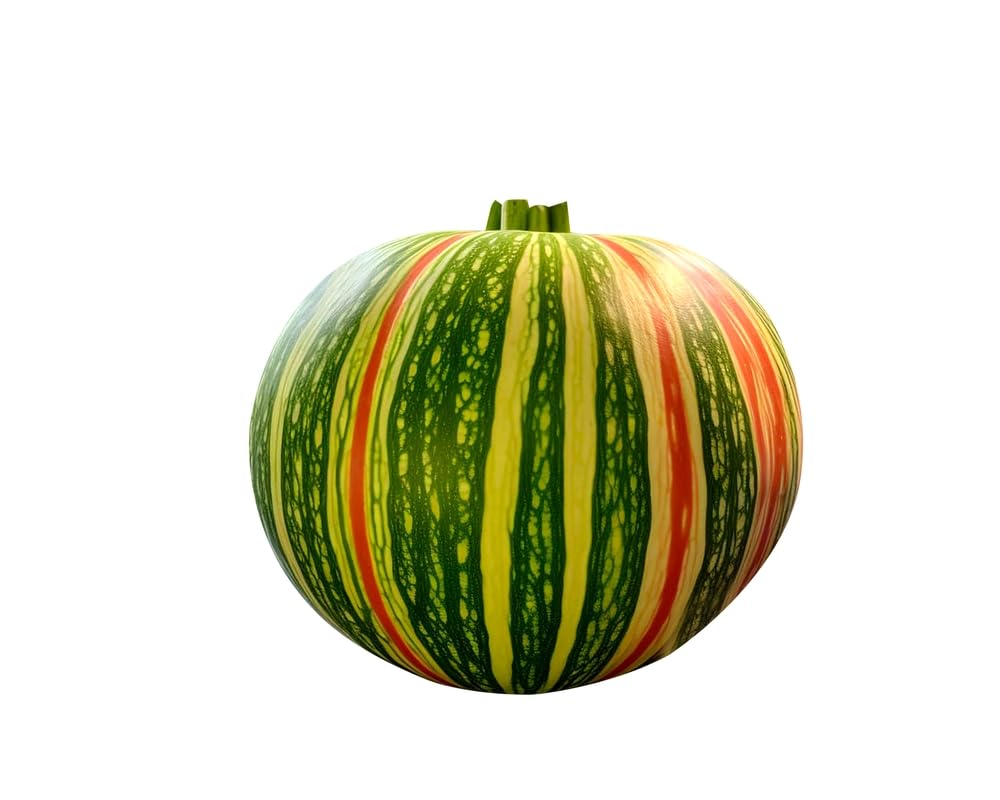 Kajari Melon Fruit Seeds for Planting (10 Seeds) - Exotic Stripes and Tastes Like Honeydew