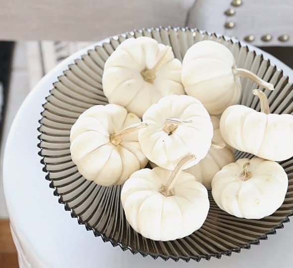 Baby Boo Pumpkin Seeds for Planting (10 Seeds) - Grow Little White Gourds for Decor or Crafts