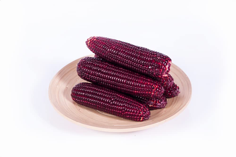 Red Corn Seeds for Planting - Bloody Butcher Indian Corn - Grown in Iowa - Stunning Color