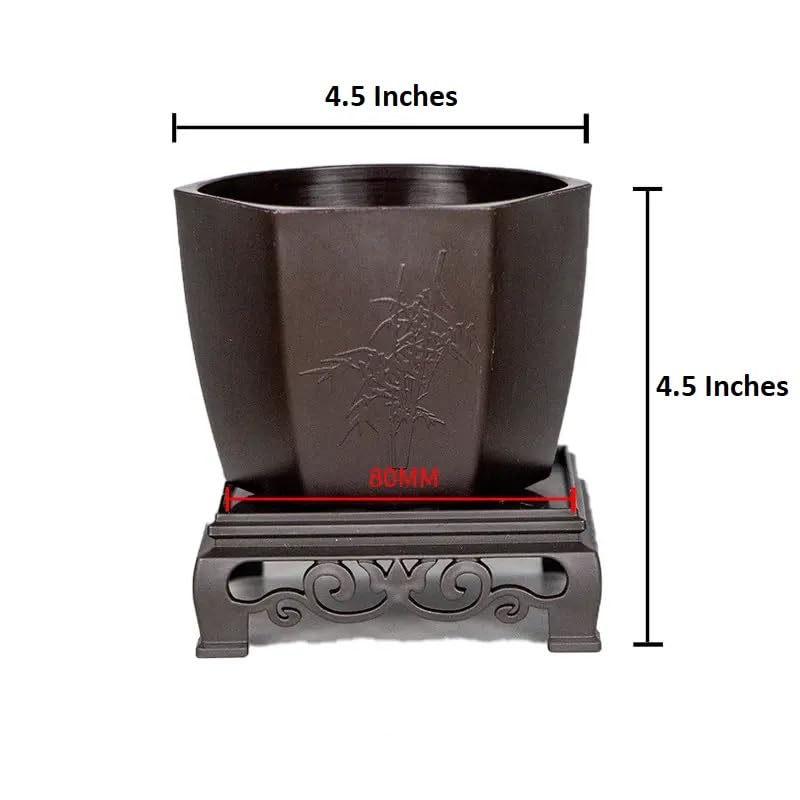 CZ Grain 4.5 Inch Bonsai Pots with Raised Tray - Great for Training New Bonsai Trees