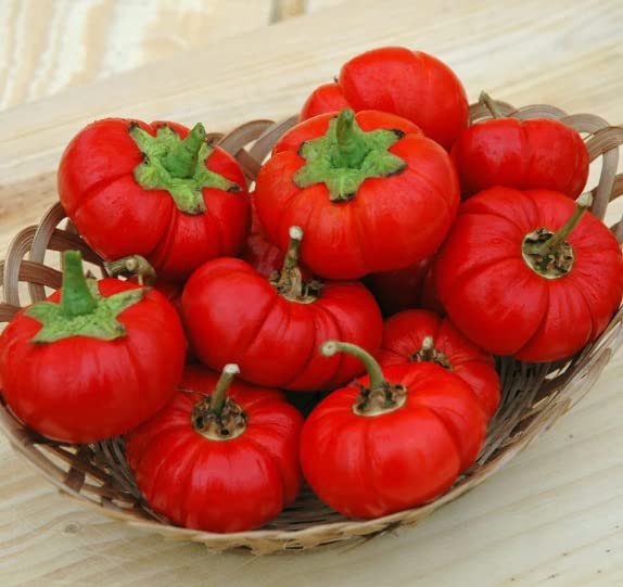 Pepper Pumkin Seeds for Planting (5 Rare Seeds) - Grow Peppers Shaped Like Pumpkins