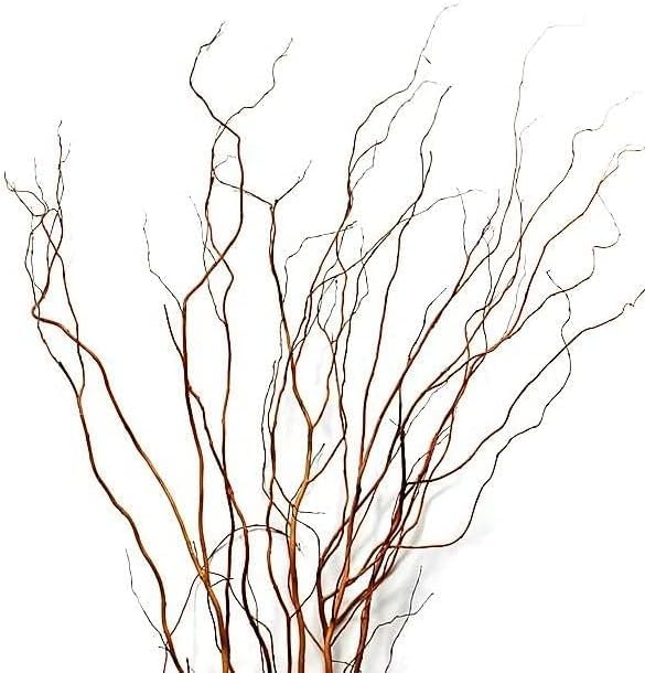 Natural Curly Willow Branches for Decor, 1-2 Feet Long - Wedding or Christmas Decor, Wreathmaking