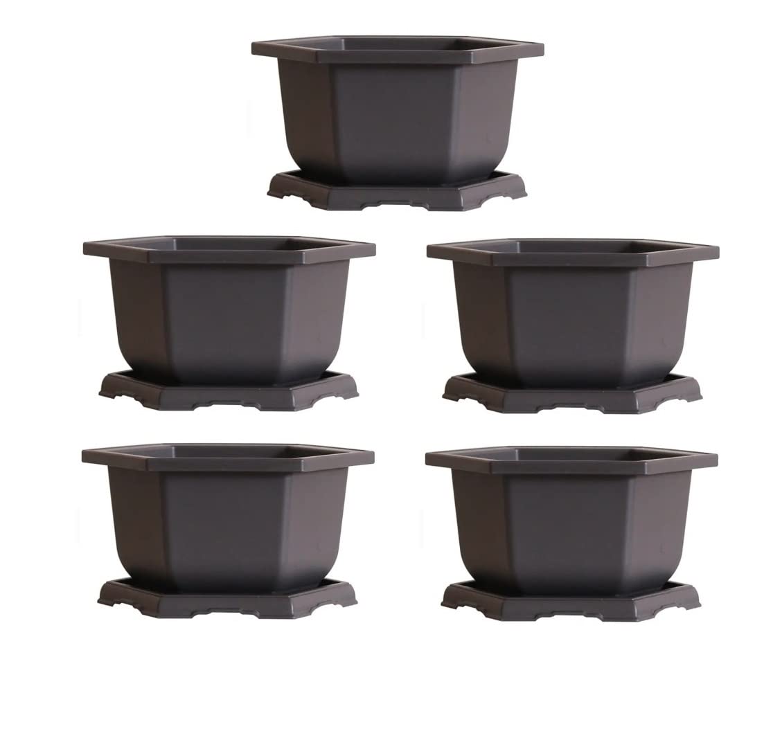 Large Hexagonal Bonsai Pot and Drip Tray - 11 inch Container with Tray