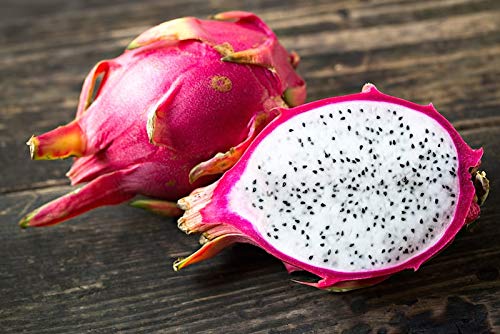 100+ Dragonfruit Seeds (Pitaya/Pitahaya/Strawberry Pear) Hylocereus Undatus Cactus Seeds - Grow Dragon Fruit