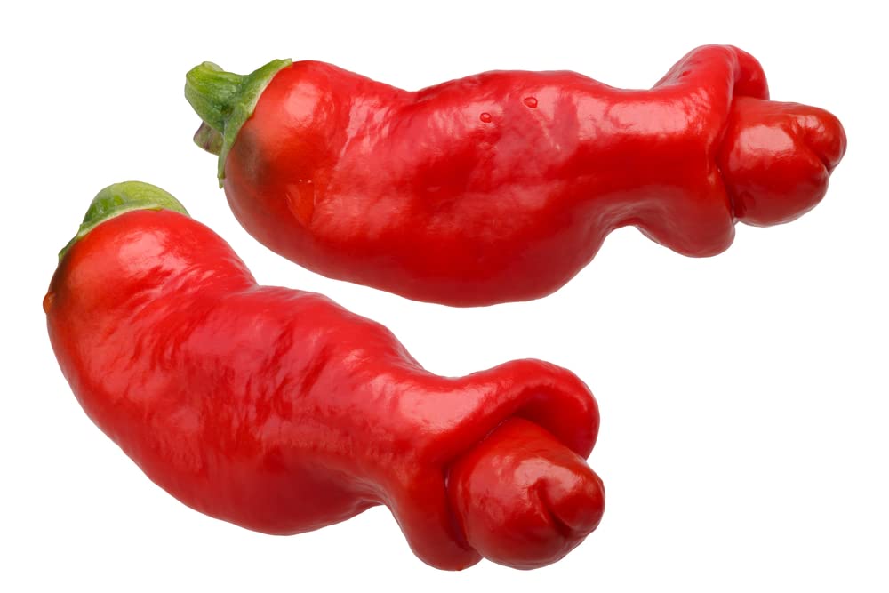 Peter Pepper Seeds to Plant (30 Seeds) - Easy to Grow and Exotic Look