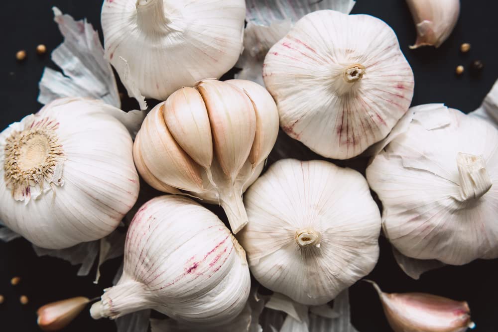 Fresh Garlic Cloves for Planting - Easy to Grow Your Own Food