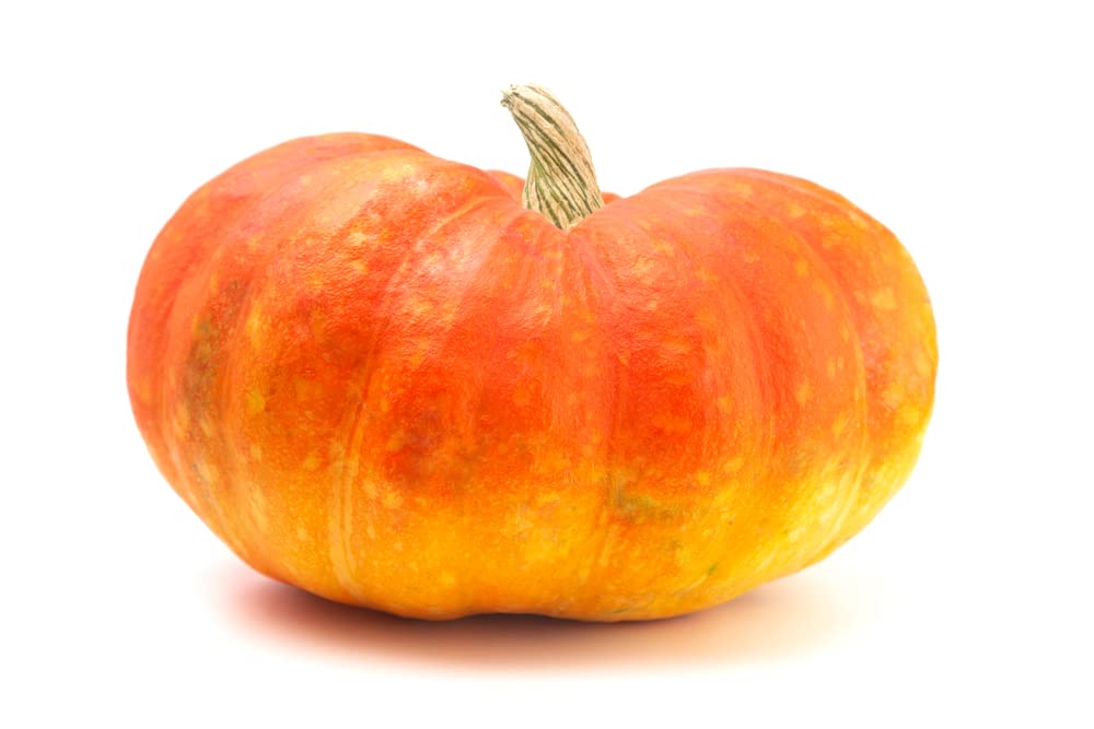 Cinderella Pumpkin Seeds for Planiting - 20 Seeds