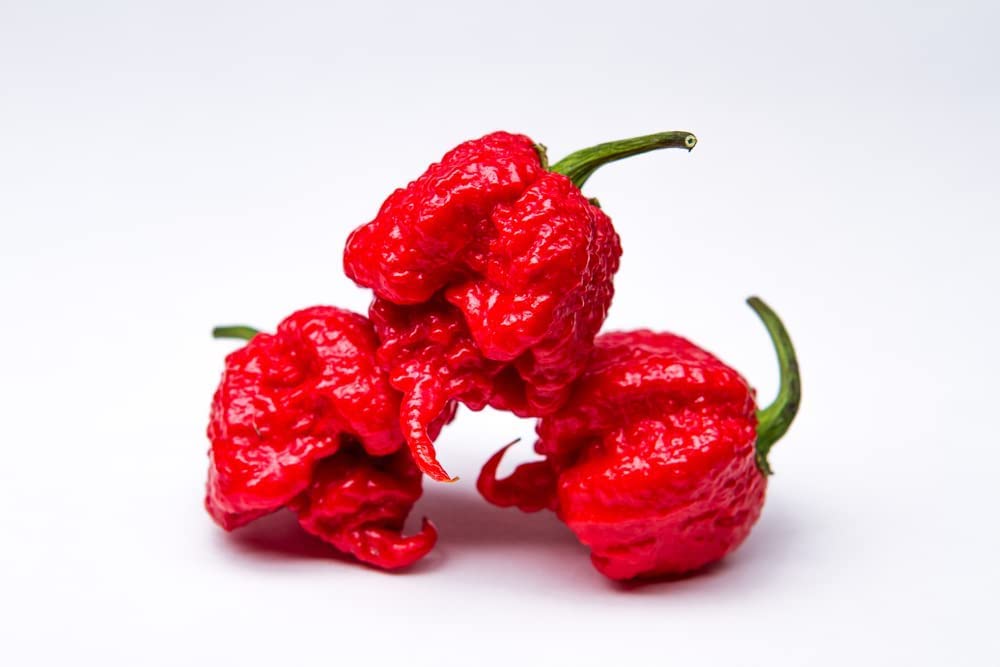 Exotic Pepper Seeds for Planting -