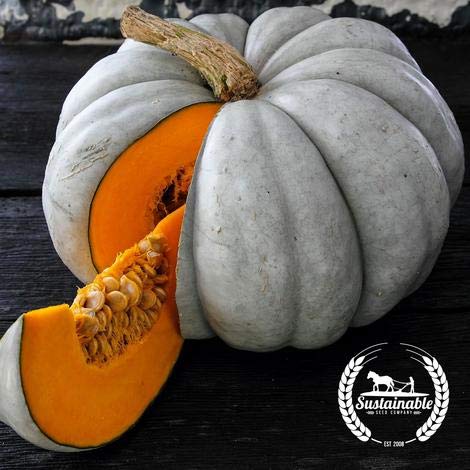 Jarrahdale Blue Pumpkin | 20 Seeds | Cucurbita Maxima, 6-10 Lbs.)