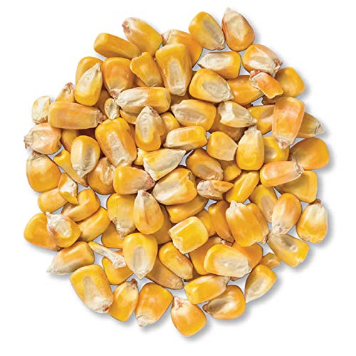 5 Pounds Deer Corn | Deer, Squirrels, Ducks Love It. Sprouts Well
