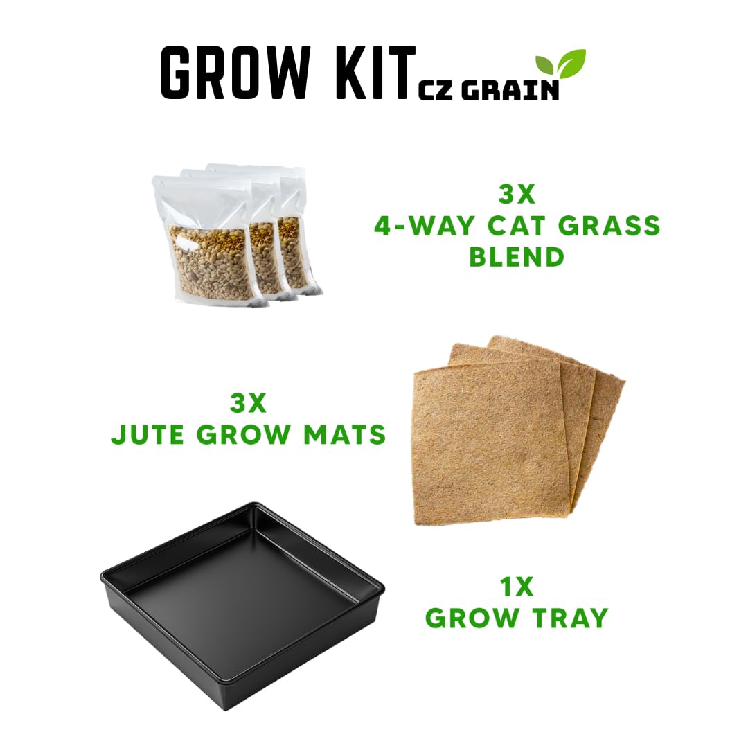 Cat Grass Growing Kit - Organic Seed, Jute Grow Mats, 10 x 10 Grow Container - Great for Indoor or Outdoor Cat, Dogs and Other Pets - Pet Grass