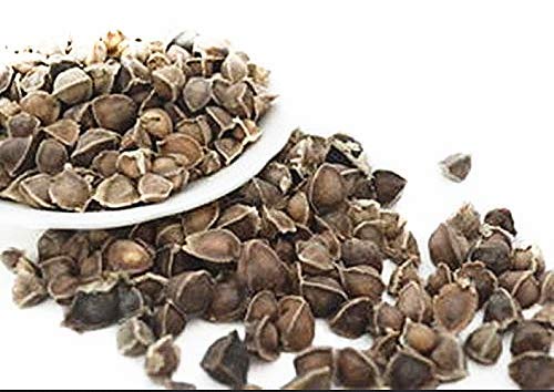 100 Moringa Seed - Oleifera Drumstick Seeds Non-GMO for Sprouting, Planting, Cooking. Unprocessed Seeds