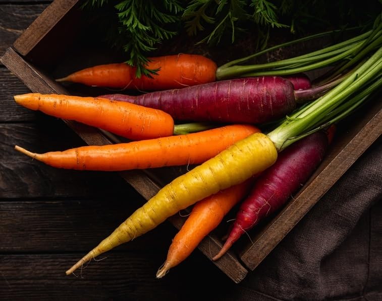 Glow Sticks Carrot Seeds for Planting - 100 Seeds