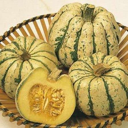Sweet Dumpling Squash Seeds for Planting - 20 Seeds of Cream and Green Squash to Grow