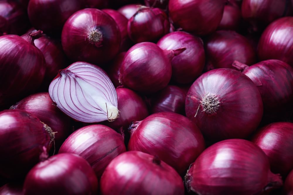 Red Onion Sets for Planting - Easy to Grow Vegetables