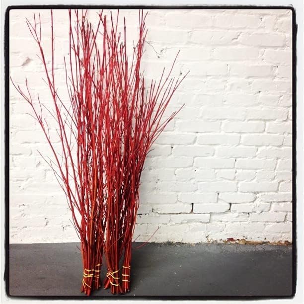 Red Dogwood Branches, Vase Filler Decor 26-36 Inches Tall - 100% All Natural. - Vase Filler, Wedding Decoration