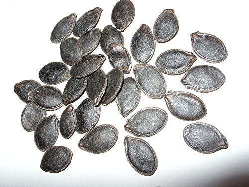 10 Shark Fin Squash/Melon, Gom bo Seeds - AkA,Malabar Gourd, Seven Year Melon.
