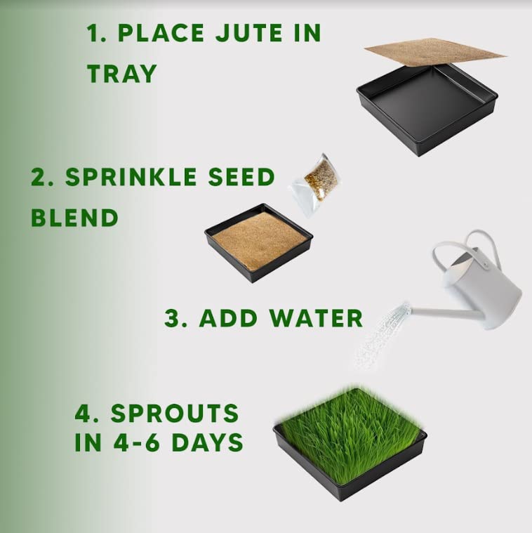 Chicken Grass Grow Kit - Grow Fresh Sprouts That Chickens Love - Comes with Grow Tray, 3 Jute Pads and Seed Packets