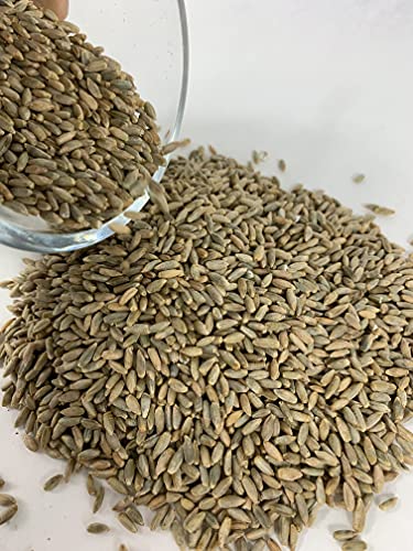 Executive Deals All Natural Rye Berries, Non-GMO & USDA Certified - 10 Pounds (Double-Sealed)