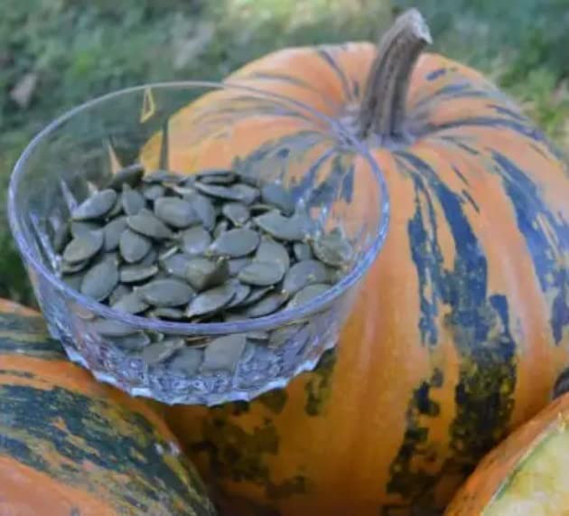 Painted Stripe Pumpkin Seeds for Planting (10 Seeds) - Hybrid HSC151
