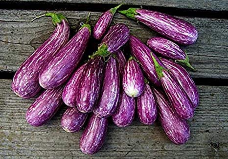 30 Mini Eggplant Seeds - Little Fingers Eggplant, Asian Heirloom, Non GMO, Great for Container, Patio, Bonsai