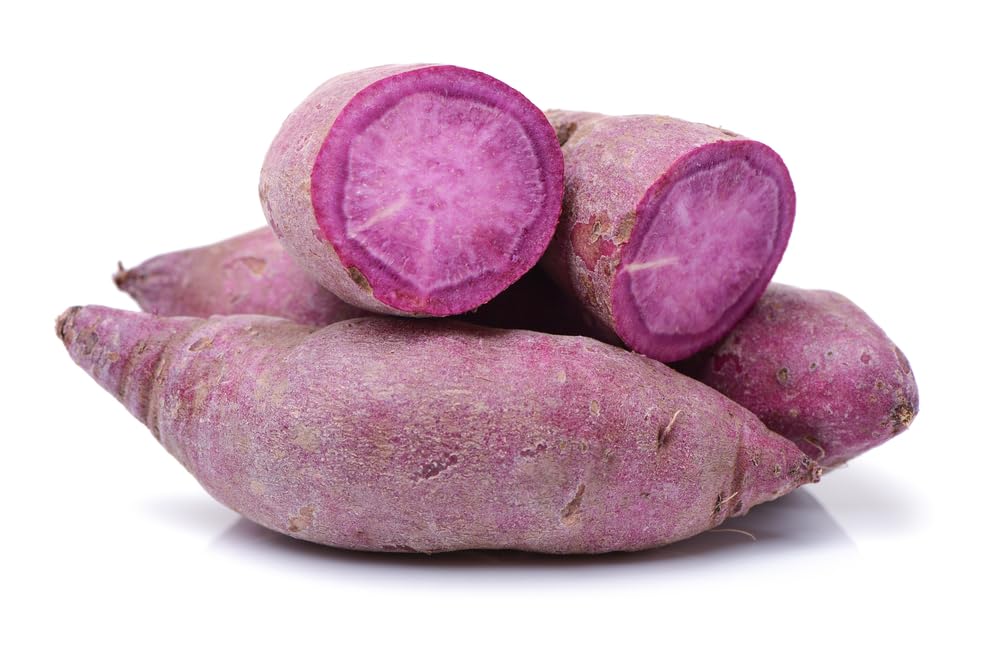 Purple Sweet Potato Slips for Planting - Grow Your Own Purple Sweet Potatos (5 Plant Slips)