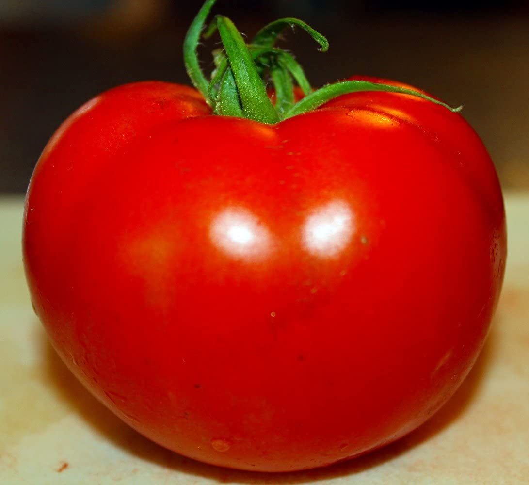 Celebrity Tomato 50 Seeds -Disease Resistant