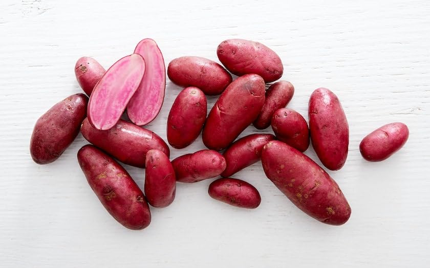Amarosa Red Fingerling Seed Potatos for Planting