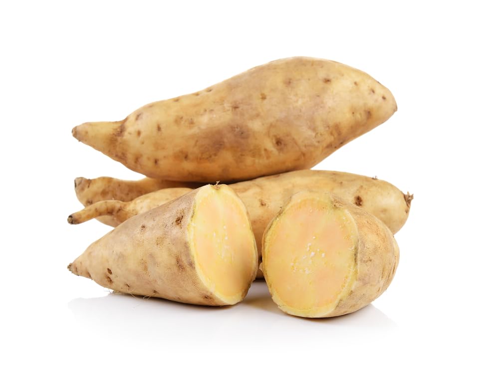 3 White Sweet Potato Slips for Planting - Grow Your Own Tasty Sweet Potatos (3 Slips) Yams