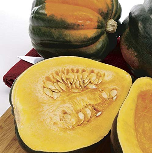 Acorn Squash Seeds for Planting - 50+ Seeds - King Table Squash, Delicious and Nutritious - Made in USA, Ships from Iowa