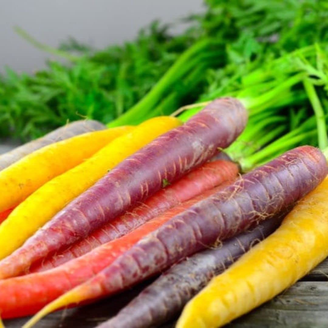 Rainbow Carrot Seeds for Planting | Non-GMO & Heirloom Vegetable Seeds | 750 Carrot Seeds to Plant Outdoor Home Garden | Buy Planting Packets in Bulk (3 Packs)