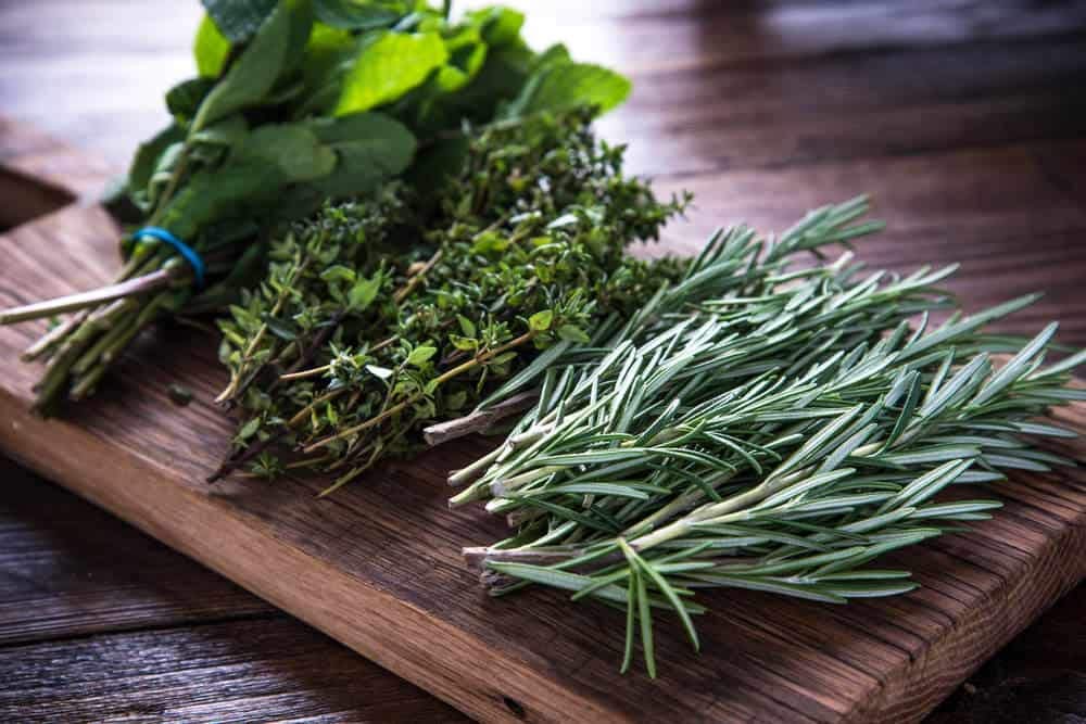 Herb Garden Kit | Chef 5 Pack | Parsley, Oregano, Cilantro, Dill, and Thyme | 5 Plant Markers | Herb Garden Seeds for Planting. Indoor Herb Garden,Good Outdoor Herbs