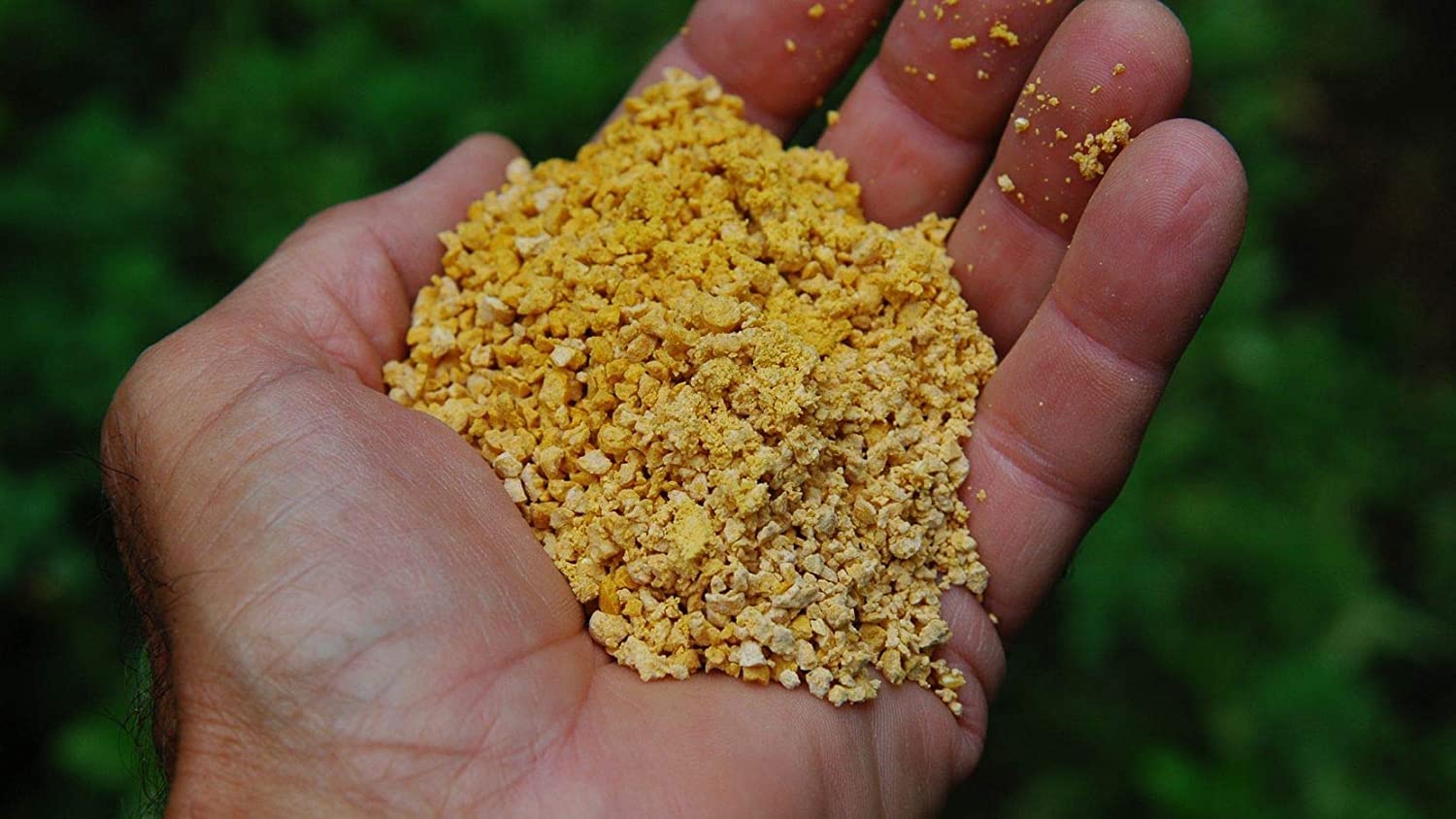 CZ Grain Corn Gluten Meal - Produced and Shipped for Iowa, USA