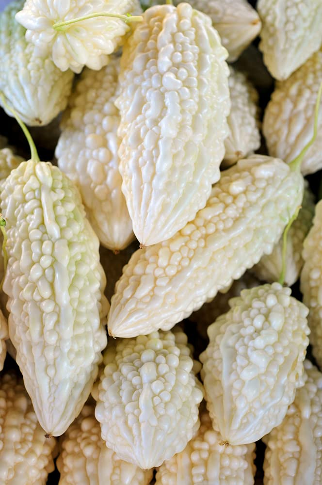 Exotic White Bitter Gourd Seeds for Planting - 10 Seeds White Bitter Melon - Rare and Hard to Find. Ships from Iowa, USA