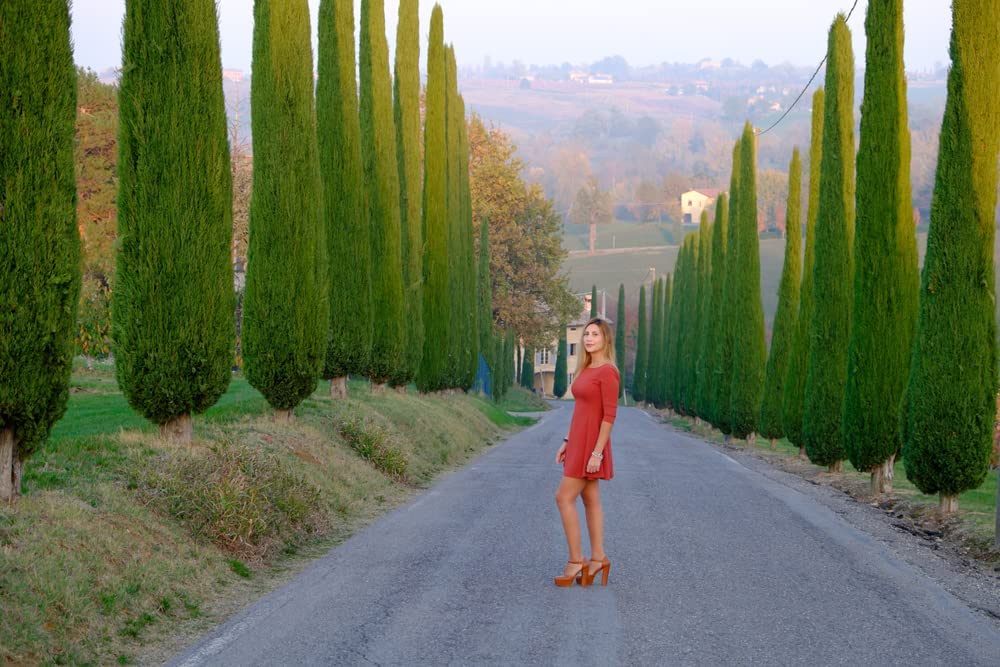 100 Italian Cypress Seeds for Planting | Exotic Evergreen Tree Seeds to Grow, Great for Landscaping and Hedge Rows