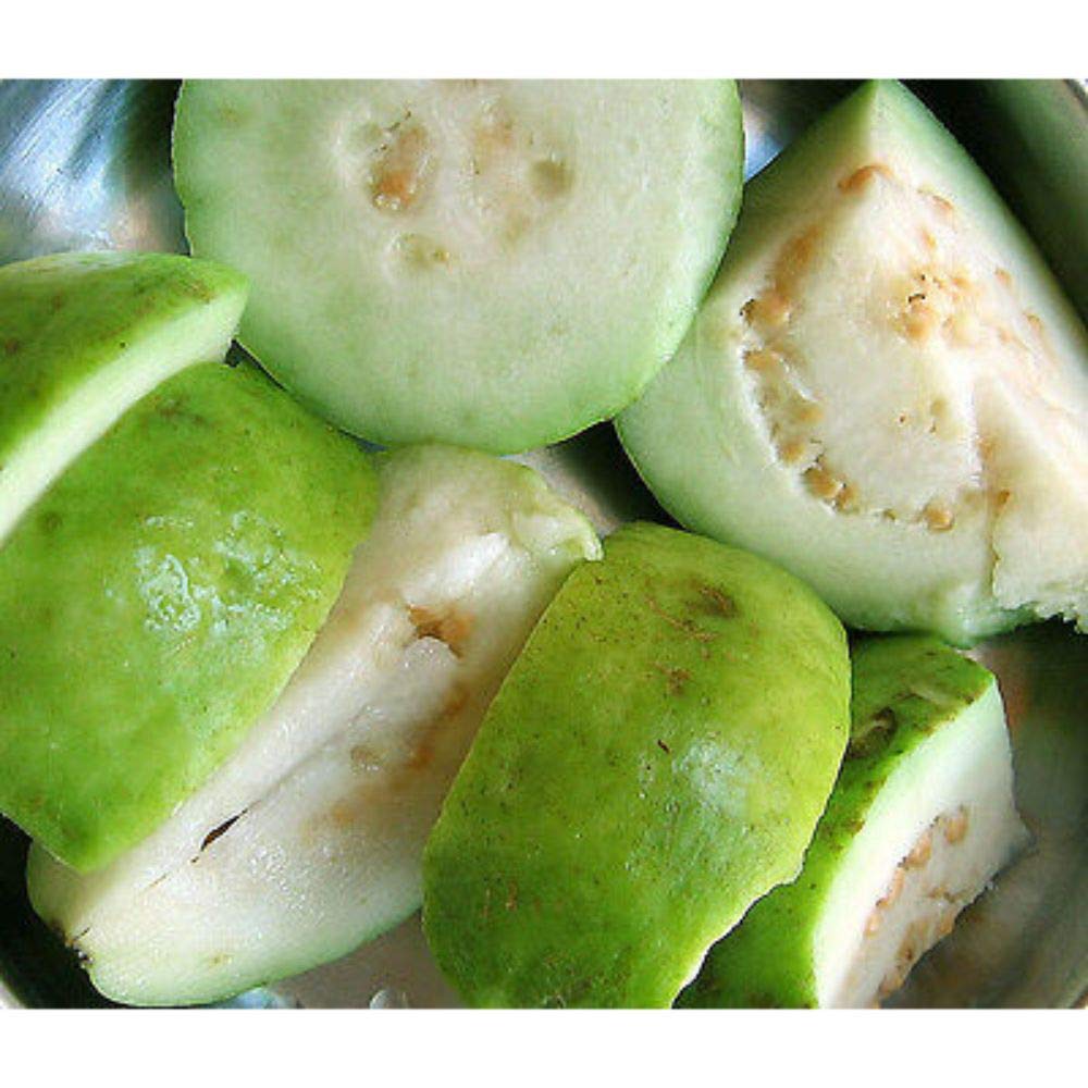 15 Seeds Guava White Tropical Fruit Psidium Guajava Tree Edible Guayaba Plant 