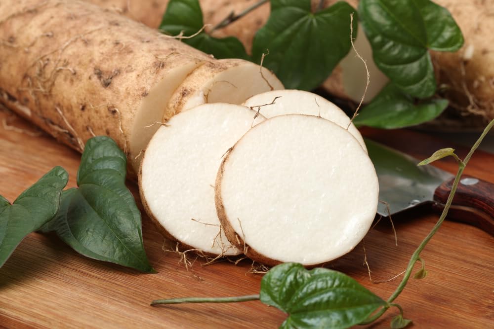 White Sweet Potato Slips for Planting - Grow Your Own White Yams from Slip