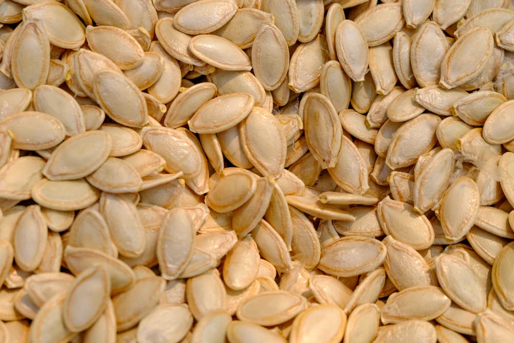 Jester Delicata Squash Seeds for Planting (20 Seeds) - Cucurbita pepo