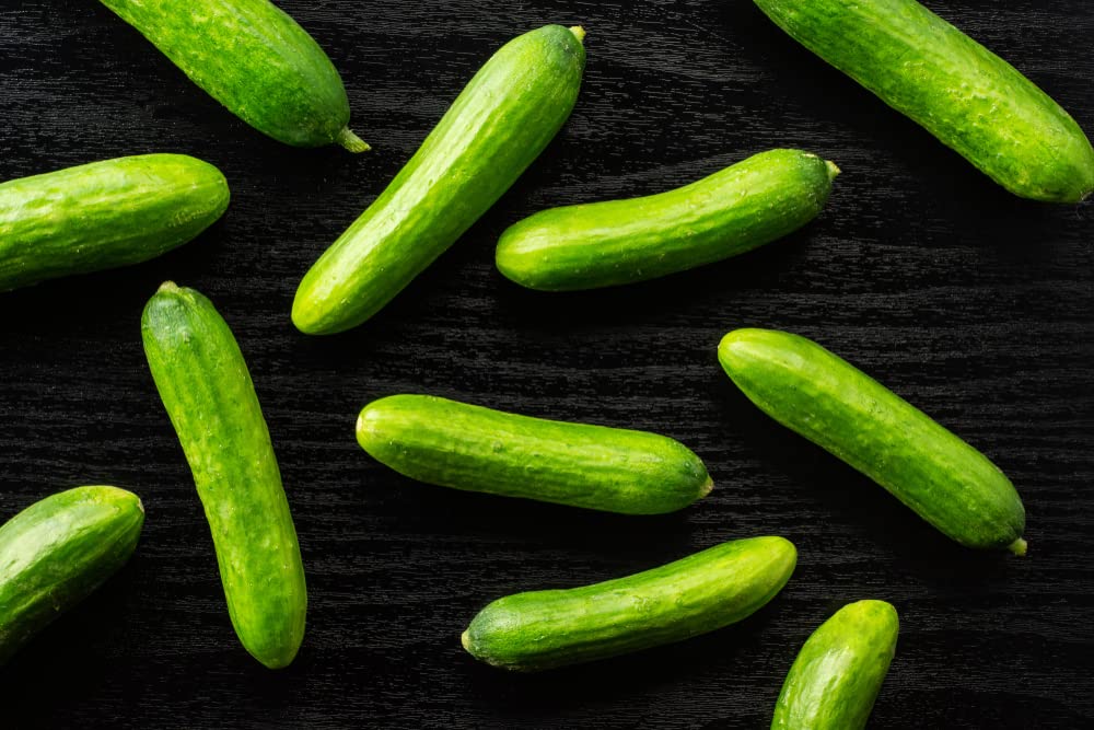 Picolino Mini Cucumber Seeds for Planting (10 Seeds) - Tasty 5-6 Inch Garden Vegetables